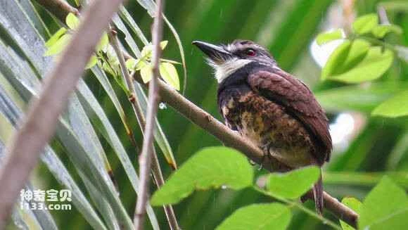 2023050920170282.jpg 763cfd59d109b3de4777e2a9c6bf6c81820a4c9e_九雷图片转换器.jpg