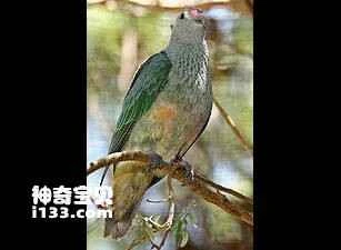 1677396721181961.jpg b17eca8065380cd75a9a09e0a144ad3459828133_九雷图片转换器.jpg