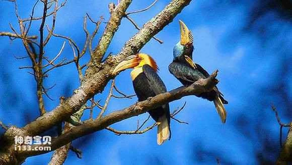 2023050747361993.jpg fd26394f9258d109d3c4359bdf58ccbf6c814d63_九雷图片转换器.jpg