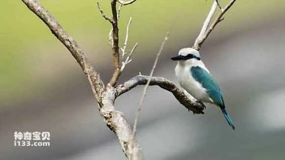 2023042918715283.jpg 84b0121fd21b0ef46fdf6829d0c451da81cb3e01_九雷图片转换器.jpg