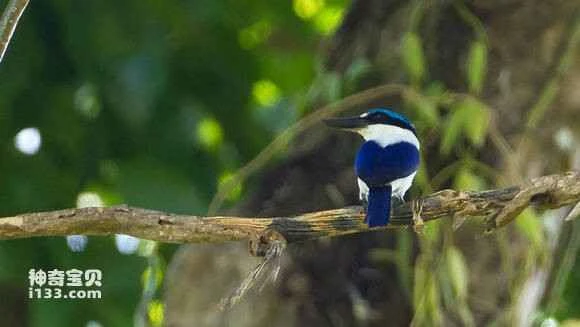 2023042720747474.jpg e8e7be42ad4bd113c7661d0d56afa40f4afb05dd_九雷图片转换器.jpg