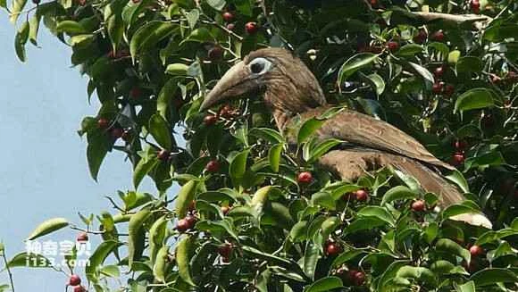 2023050612550764.jpg f1611cf182025aaf34448ff6f5edab64034f1a08_九雷图片转换器.jpg