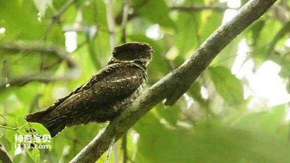 2023041414420662.jpg 1558a95d103853438d1ae7c69a13b07ec88088f7_九雷图片转换器.jpg