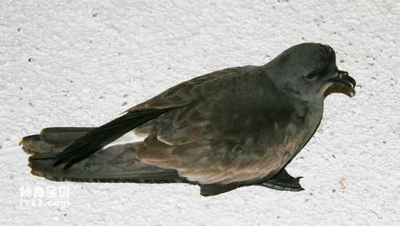 2023031584238339.jpg 06e536ef3d6d55fb61bb89f867224f4a21a4dd67.jpg