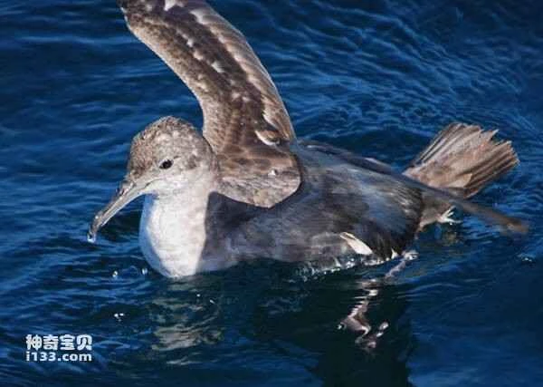 2023031116924222.jpg 55e736d12f2eb9389b507263f8349235e5dde711c15e_九雷图片转换器.jpg