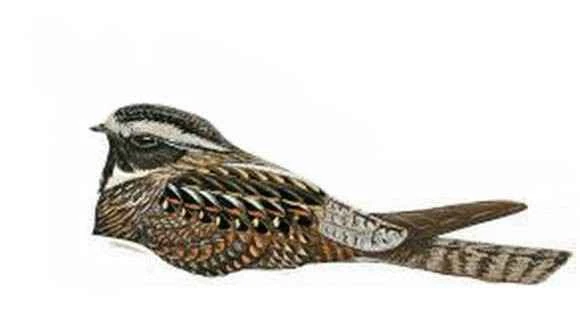 2023041415726304.jpg f17bdcdf9c82d1587a7c3756890a19d8be3e42ca_九雷图片转换器.jpg