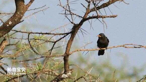 2023042017014966.jpg f1611cf182025aafa8ce072df1edab64014f1ace_九雷图片转换器.jpg