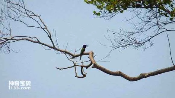 2023042215878313.jpg 2956c419972bd4079219442171899e510db30987_九雷图片转换器.jpg