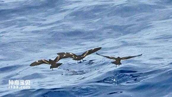 2023031520970964.jpg 2c81b8cb7bcb0a4613e074e76163f6246960afa6_九雷图片转换器.jpg