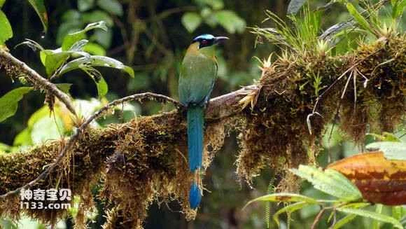 2023042318318730.jpg 8cdd41dca3cc7cd9c5a0993e3201213fb90e913f_九雷图片转换器.jpg