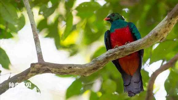 2023041013211778.jpg 454a63d6912397dd02c49df95382b2b7d1a28705_九雷图片转换器.jpg