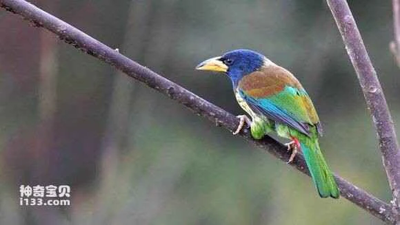 2023051521365740.jpg 19734e3eb80e7bec9f9b2dd5242eb9389b506b30_九雷图片转换器.jpg