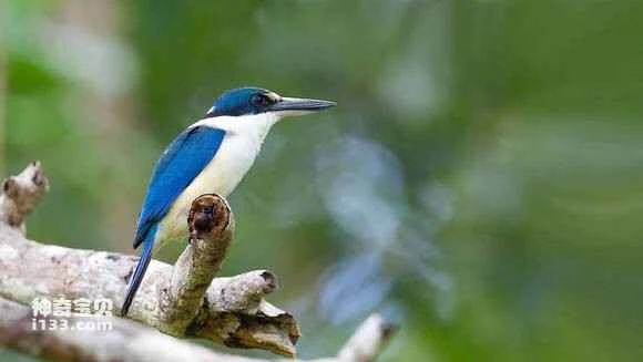 2023042810576506.jpg a7e6cbc37d1ed21b25641696a06eddc450da3f82_九雷图片转换器.jpg