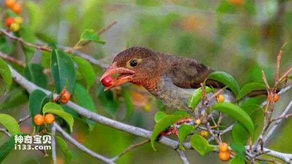 2023051517233358.jpg 71a8eeca39dbb6fd78a9c8120224ab18962b3782_九雷图片转换器.jpg