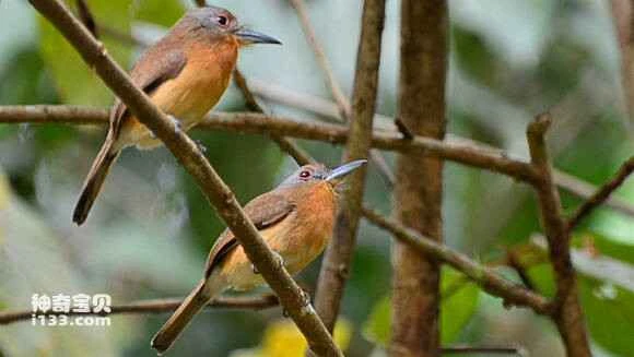 2023051110404056.jpg 2c865eaccbef7609d143ee5e24dda3cc7dd99e1e_九雷图片转换器.jpg