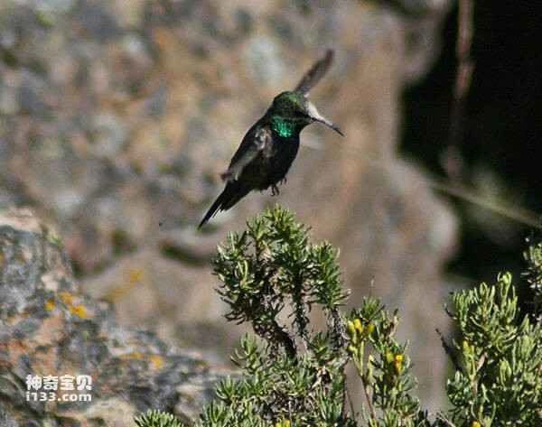 2023040666654574.jpg d206e5d5db173274c44b1c5e3fee45eb_九雷图片转换器.jpg