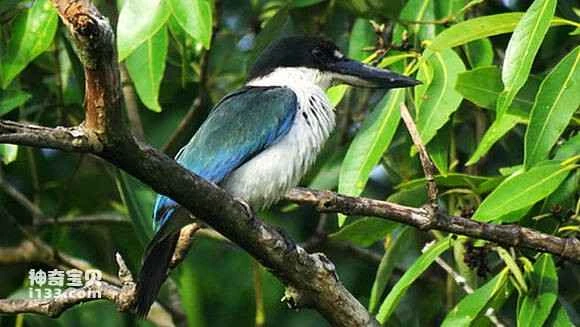 2023042713772830.jpg 2a27dc18ebc4b74515ed8e65c2fc1e178a82153e_九雷图片转换器.jpg