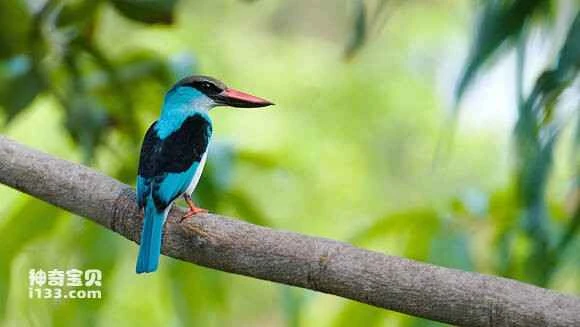 2023042796966826.jpg f1bac887c9177f3e053a08d97bcf3bc79e3d564f_九雷图片转换器.jpg