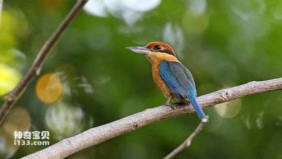 2023042917075678.jpg fdb63edb81cb39db683f3323dd160924aa1830bf_九雷图片转换器.jpg