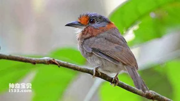 2023051114240524.jpg 2a27dc18ebc4b74564f5bcd7c5fc1e178b821504_九雷图片转换器.jpg