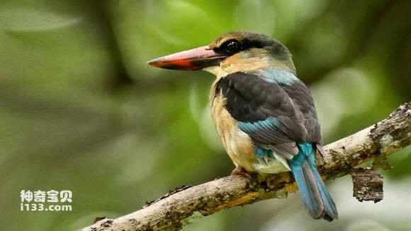 2023042719766763.jpg 5f4c0808c93d70cf5ef45ed9f3dcd100bba12b4f_九雷图片转换器.jpg