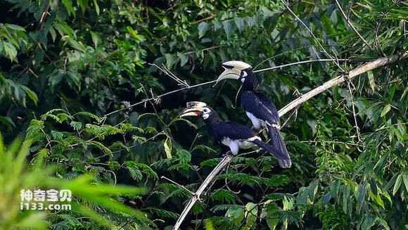 2023050493088982.jpg 1a5b42f4e0fe9925ac1cb16a3aa85edf8db1716f_九雷图片转换器.jpg