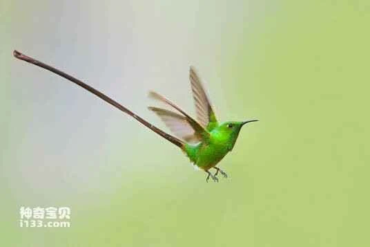 2023040310189934.jpg 00e93901213fb80ebc66e0c835d12f2eb938947e_九雷图片转换器.jpg