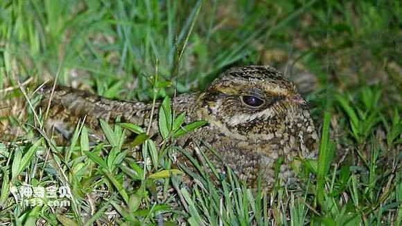 2023041896349862.jpg b8501d0f0cf3d7ca57e874a6fb1fbe096a63a9b3_九雷图片转换器.jpg