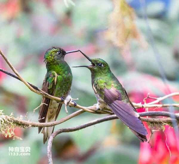 2023032820040880.jpg 956264614d2e8c08732eea63e49c47a0_九雷图片转换器.jpg