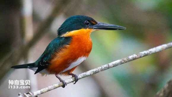 2023043016187200.jpg 8136c2355982b2b7dc87c4b83cadcbef76099b21_九雷图片转换器.jpg