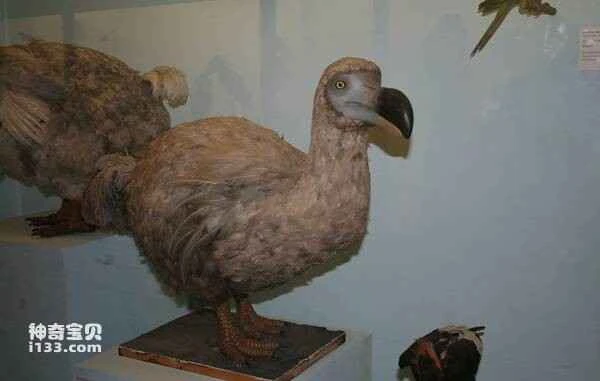 2023022610219369.jpg 1e744af91a283f55972a27aa7380638a_九雷图片转换器.jpg