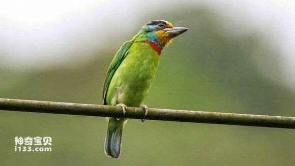 2023051770255936.jpg 714f499659ee3d6d0a918eff48166d224f4ade26_九雷图片转换器.jpg