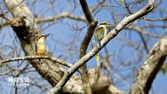 2023042917166124.jpg 2985ff539822720e4f7bb68f76cb0a46f31fab85_九雷图片转换器.jpg