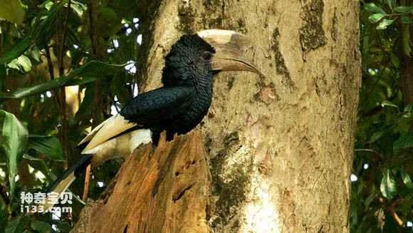 2023050316113246.jpg 103c4a1e95cad1c8da3a68ec723e6709cb3d51ef_九雷图片转换器.jpg