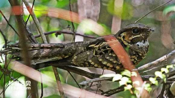 2023041521341888.jpg 99732591f603738dae4a51c5ba1bb051f919ec4c_九雷图片转换器.jpg