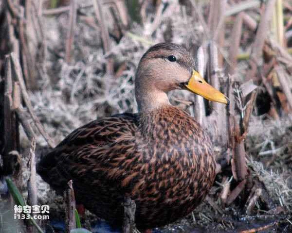 2023030176269165.jpg 51634a7cb4d86772913e8c221489dc48_九雷图片转换器.jpg