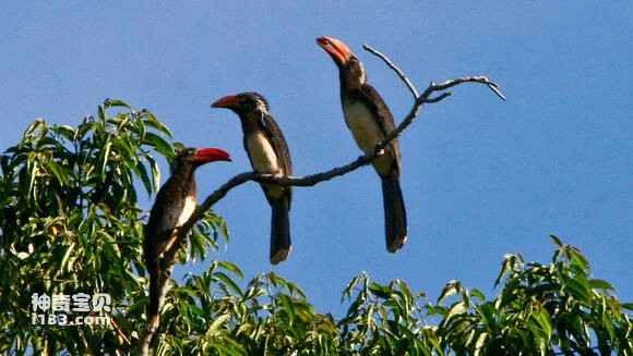 2023050416381735.jpg f7b814ca0a46f21ff329306af8246b600c33ae59_九雷图片转换器.jpg