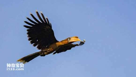 2023050618744565.jpg 53ffc6763912b31b1abb3b148818367adbb4e1a8_九雷图片转换器.jpg