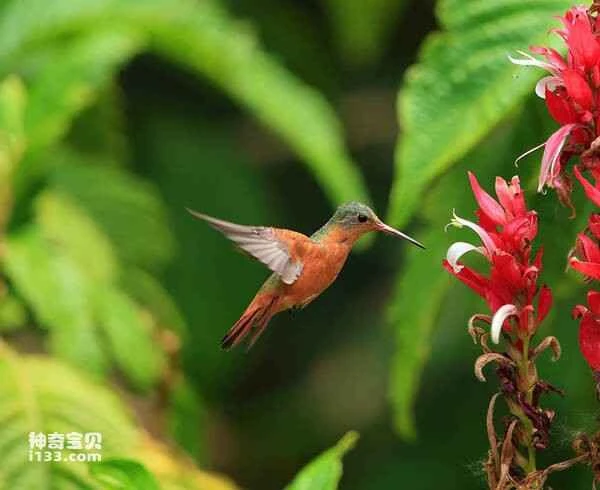 2023032219795922.jpg 4a56f3b1c619aa0cc54ccca045c4d9ed_九雷图片转换器.jpg