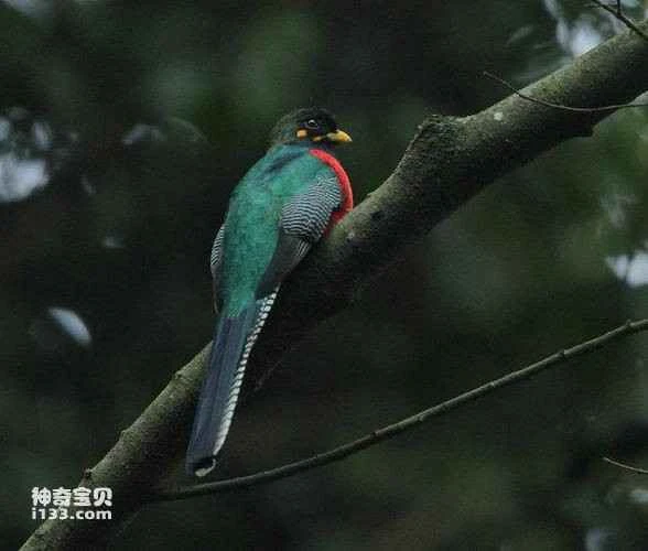 2023040820892149.jpg 75a1b119bb763104340a32f64b1006a9_九雷图片转换器.jpg