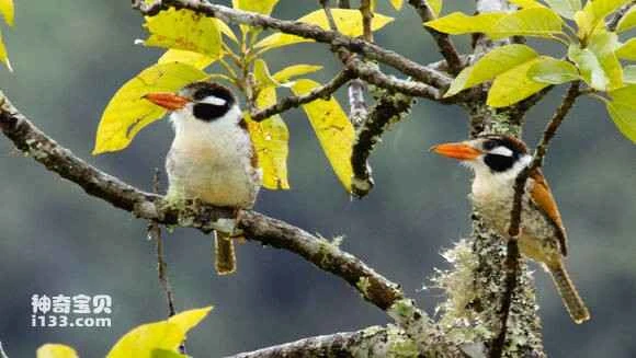 2023050916013027.jpg 98ebc6004c086e064fc53f8a08087bf40bd1cb71_九雷图片转换器.jpg