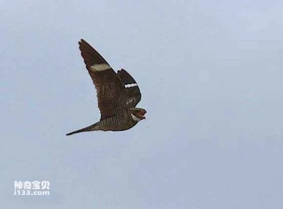 2023041420670514.jpg e7cd7b899e510fb3f6699cc0d633c895d1430c71_九雷图片转换器.jpg