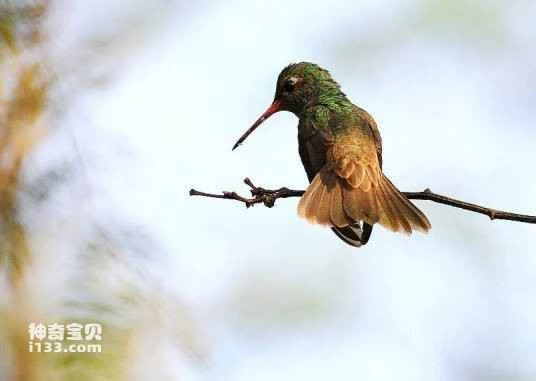 2023032415342857.jpg 0d338744ebf81a4c747efab9d32a6059252da675_九雷图片转换器.jpg