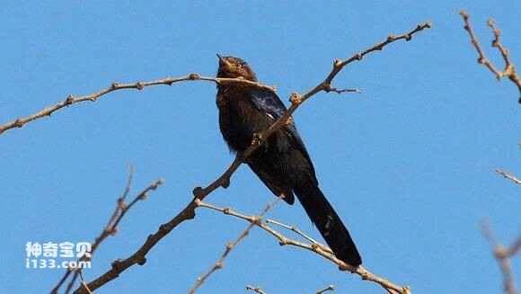 2023042017726481.jpg 93acf383d158ccbfa9baccdc13d8bc3eb0354141_九雷图片转换器.jpg