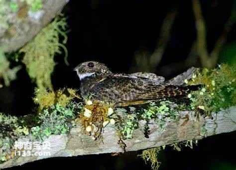 2023041319792167.jpg a08b87d6277f9e2f0708f6353f62fe24b899a90155c9_九雷图片转换器.jpg