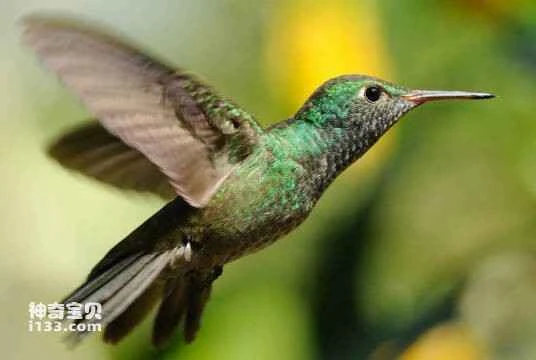 2023032254993811.jpg 1f178a82b9014a90a14eda93ad773912b31beea8_九雷图片转换器.jpg