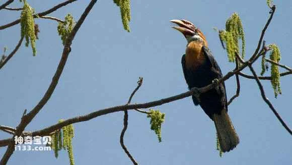 2023050677845718.jpg 94fde35594eef01f247cf6e2eefe9925bc317d24_九雷图片转换器.jpg