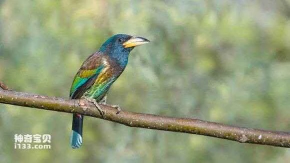 2023051543890011.jpg 1608b5b54aed2e73d700a8188c01a18b86d6fa88_九雷图片转换器.jpg