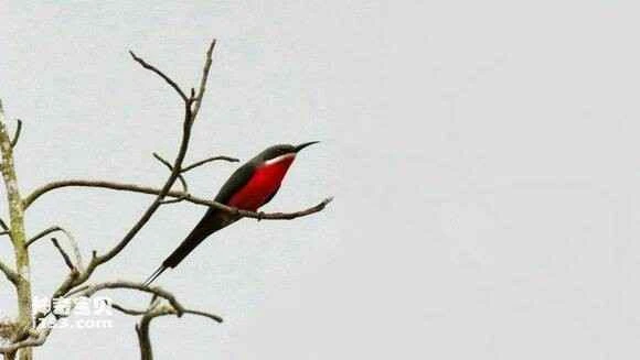 2023042215553169.jpg a7e6cbc37d1ed21b9820be39a76eddc453da3ff0_九雷图片转换器.jpg