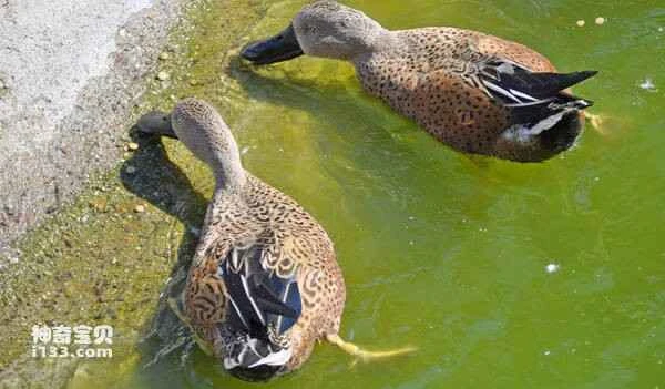 2023030226331504.jpg faa925228455e8d44f595dfa2528c203_九雷图片转换器.jpg